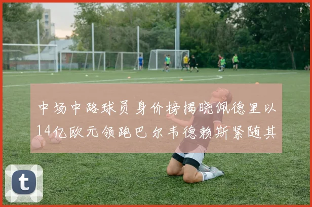 中场中路球员身价榜揭晓佩德里以14亿欧元领跑巴尔韦德赖斯紧随其后