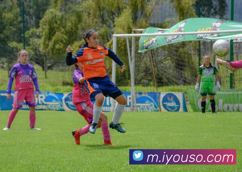 主裁确认热刺进球判罚无误强调穆阿尼双手触碰加布是关键因素